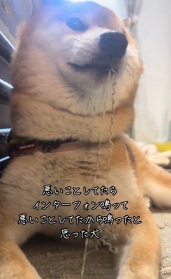 イタズラ中のぬん君2