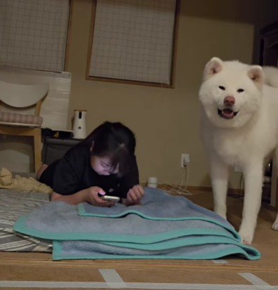 娘さんは知らんぷり