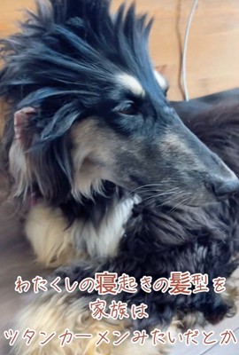 個性的なツンツンヘア！