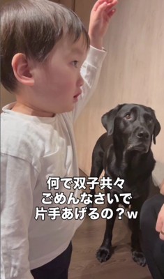 思わずかばいたくなってしまった