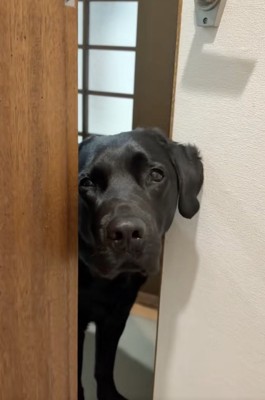 「なんでダメなの？」