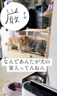 「お父さんおる…」