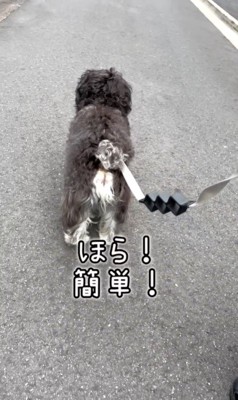綱吉くんを止める方法7