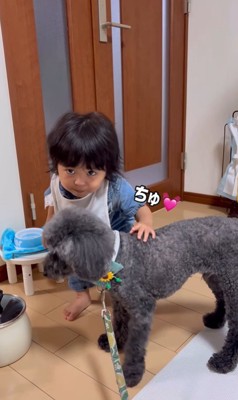 りつ君と実家のワンコ9