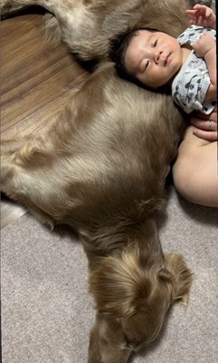 ルルちゃんと赤ちゃん7