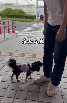 最終チェック中