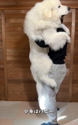 大きな体の赤ちゃんに♡