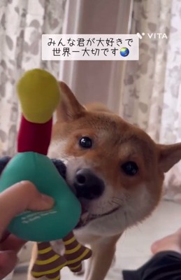 おもちゃで遊ぶキョロスケくん