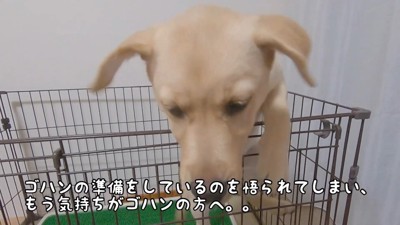 「出して！」とアピール