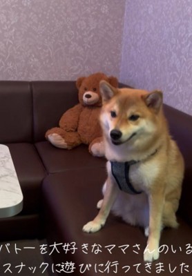 「やっぱ落ち着く~」