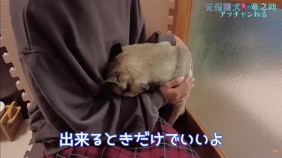 自分から甘えてきた
