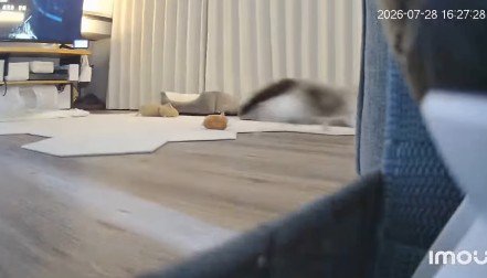 2匹そろって安全な場所へ