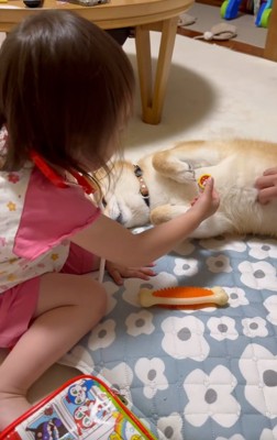 すずちゃんに注射をする娘さん