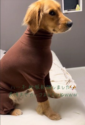 モードな秋服にチャレンジ！！