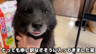 「赤ちゃんの面倒を見たくて…」
