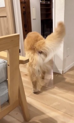 お父さん！？