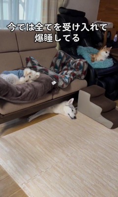 完全に受け入れた現在