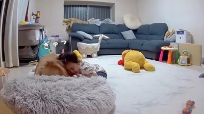 とっても甘えん坊