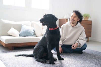 男性と犬
