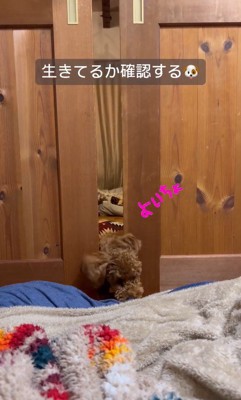 パパさんを心配するポポくん5