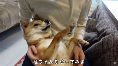 福ちゃんも挑戦♪