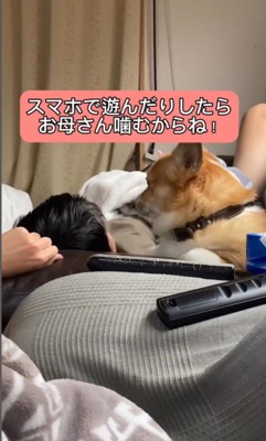 体調不良の男の子に付き添うチリちゃん6