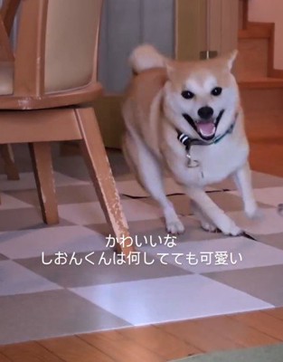 はじけるような笑顔！