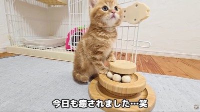 優しい家族に出会えてよかった♡