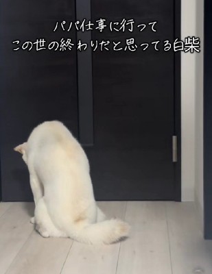肩を落として猫背に…