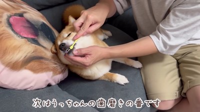 うにくんも頑張ります