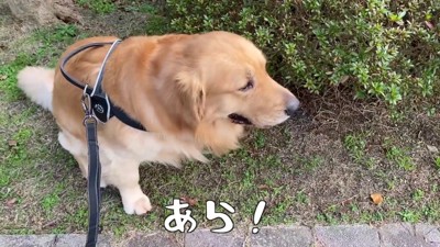 お出かけは楽しいね♪