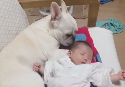 赤ちゃんに寄り添うロイちゃん4