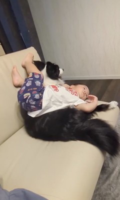 誰かにくっついていたいアグちゃん