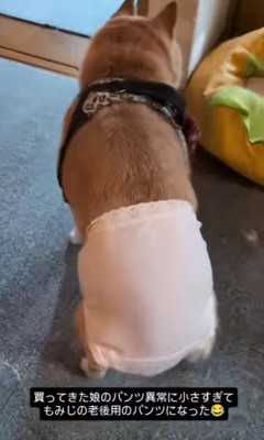 想像以上のジャストフィット