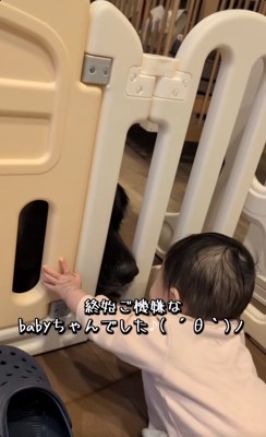 ご機嫌な赤ちゃん