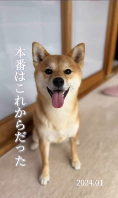 クルミちゃんの1年間の写真5