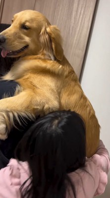 大型犬を抱っこする女性の腰を抱きしめる女の子
