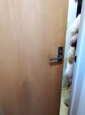一度去って再び来訪