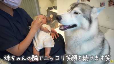 赤ちゃんに笑顔を向けるもんちゃん