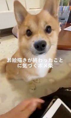 可愛すぎる表情…!