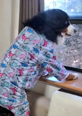 バーニーズマウンテンドッグだった！！