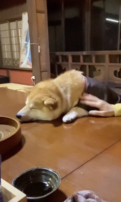 飲んだくれ…??