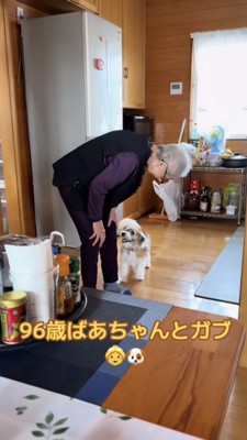 尻尾を振りながら笑顔でおばあちゃんに近づく犬