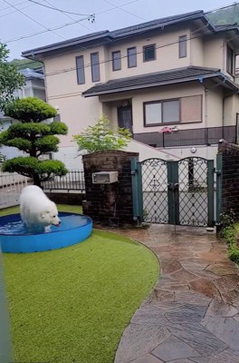 立ち去る飼い主さん