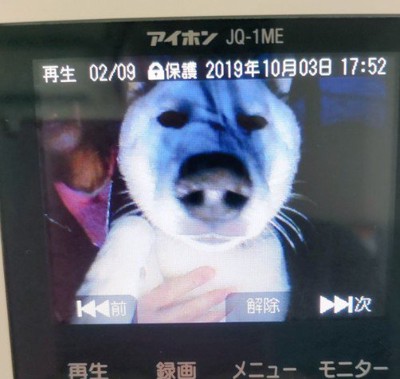 コワモテの顔に…！！