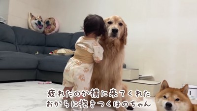 疲れてしまったら…