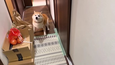 ぐるぐる回り出した