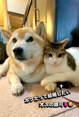 麦太郎くんと銀可くん