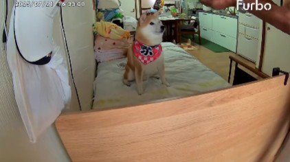 なかなかかみ合わない…