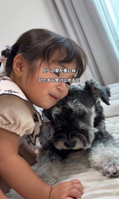 こたろう君を撫でる女の子3